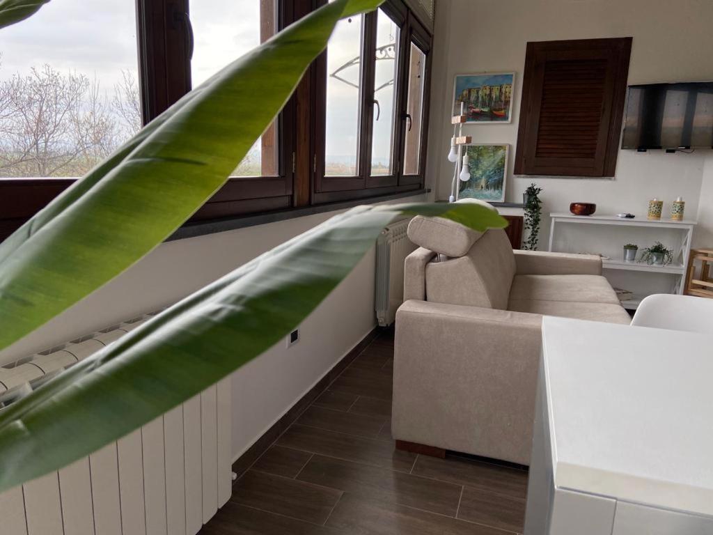 Villa Rosella Appartamento 2 - Con Piscina - 150 M Dal Mare Casa Margherita Exterior foto